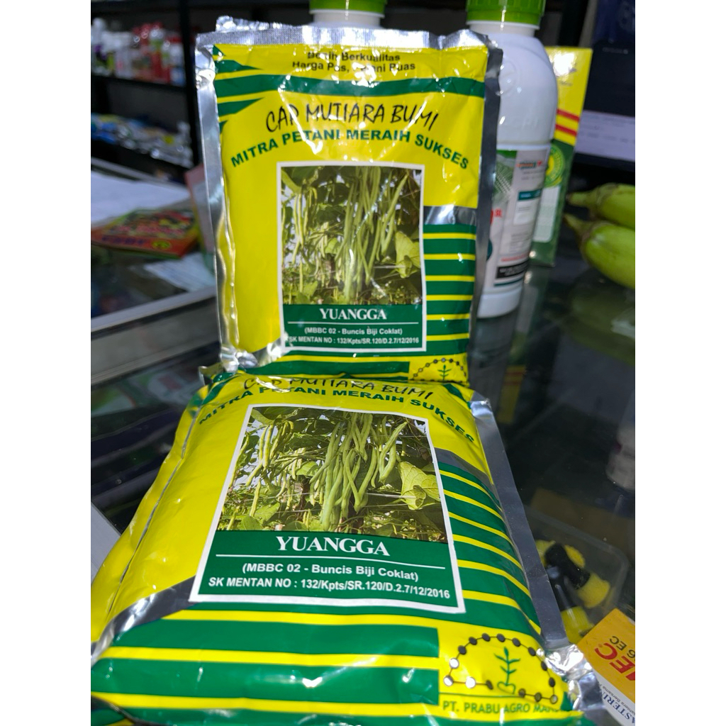 Benih Buncis Yuangga 500gr