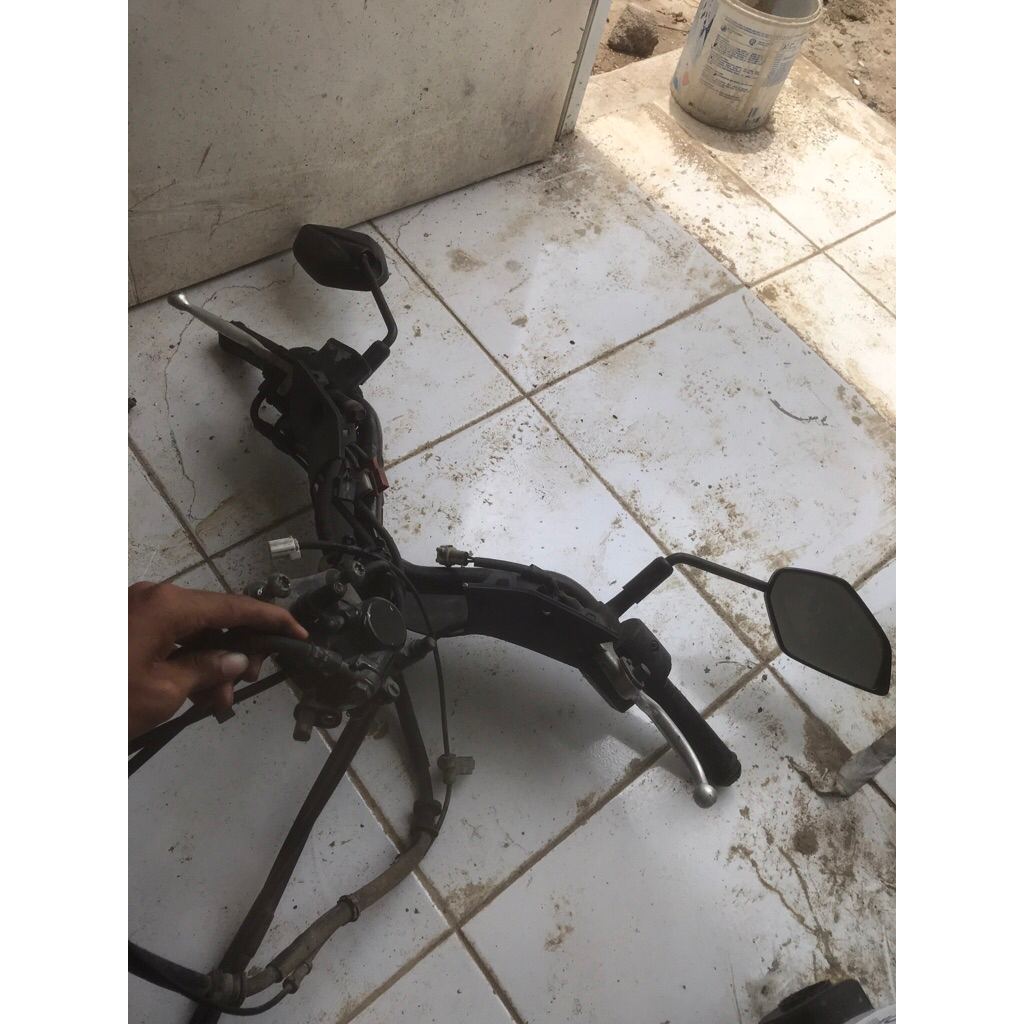 spion lexi ori copotan