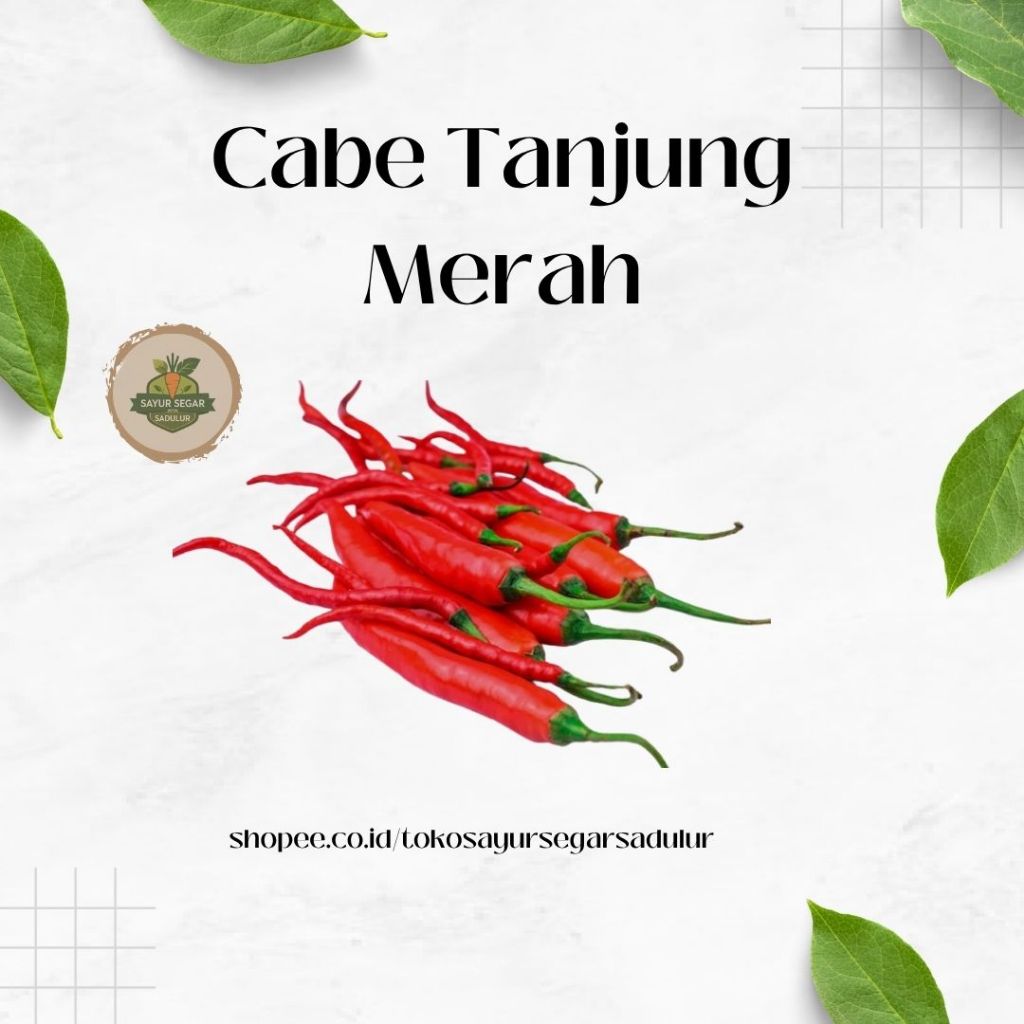Cabe Merah Tanjung
