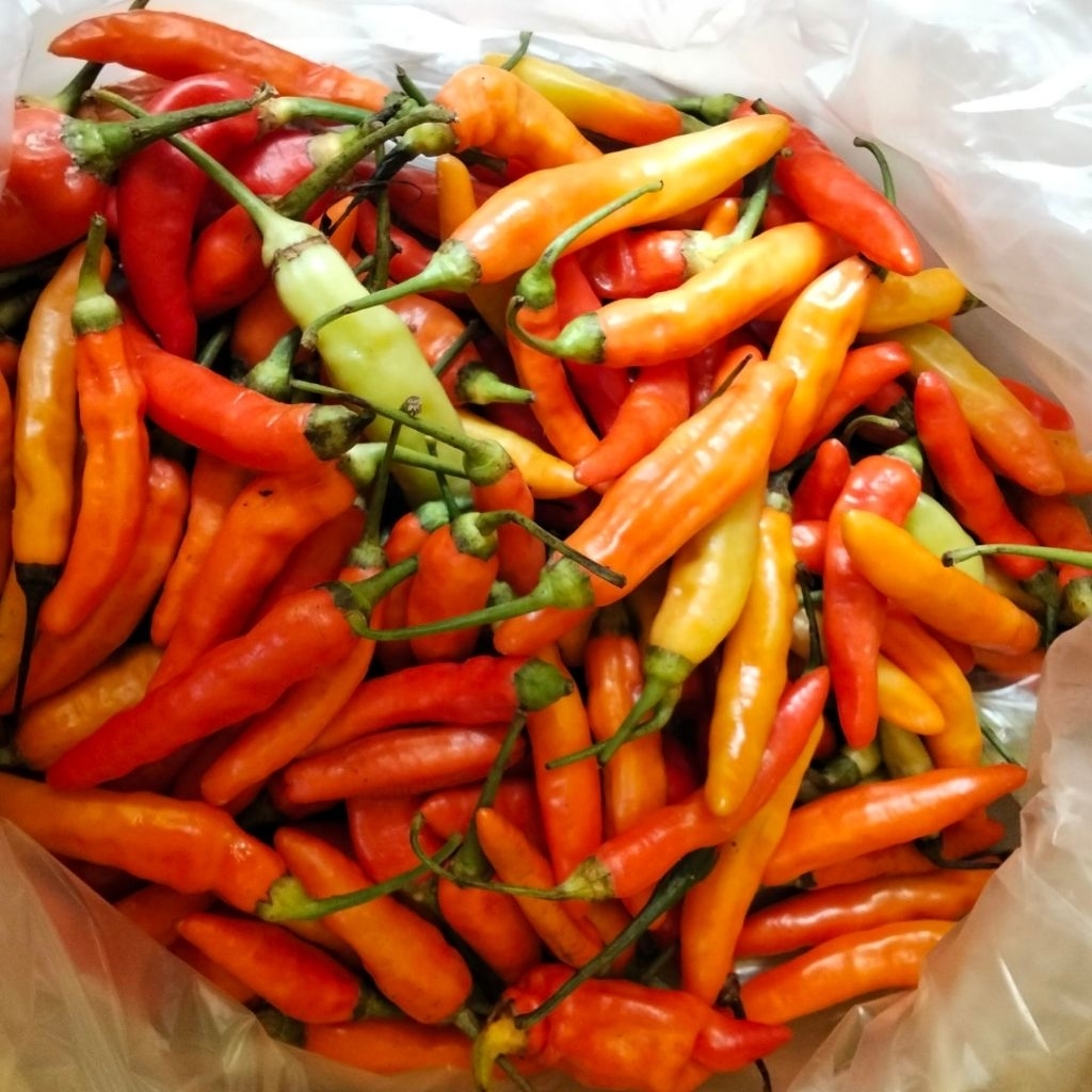 CABAI RAWIT MERAH / CABAI RAWIT SETAN KILOAN