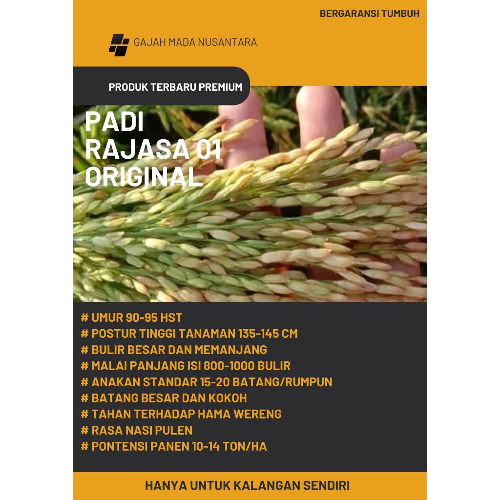 Bibit Benih Rajasa01 Original Kemasan 5 Kg