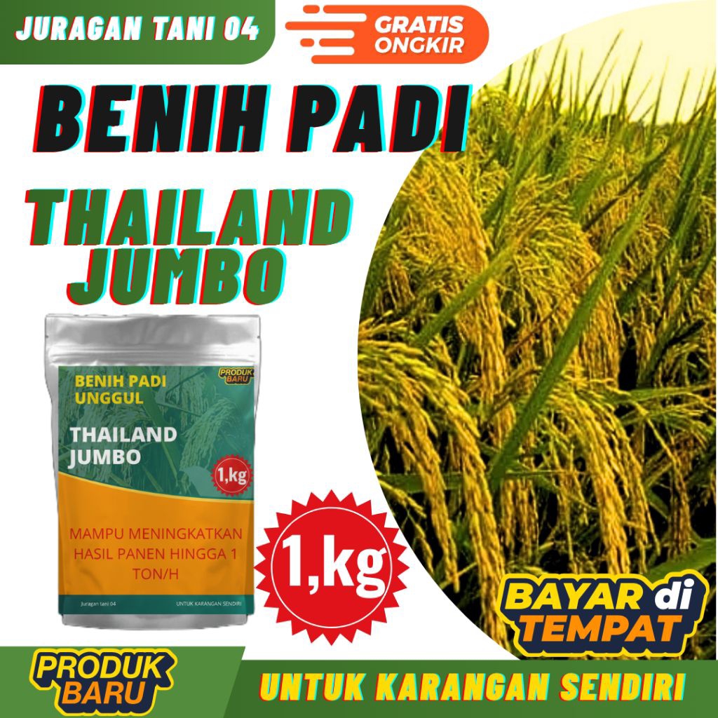 BENIH PADI THAILAND JUMBO KEMASAN 1 KG BENIH PADI KUALITAS ORIGINAL