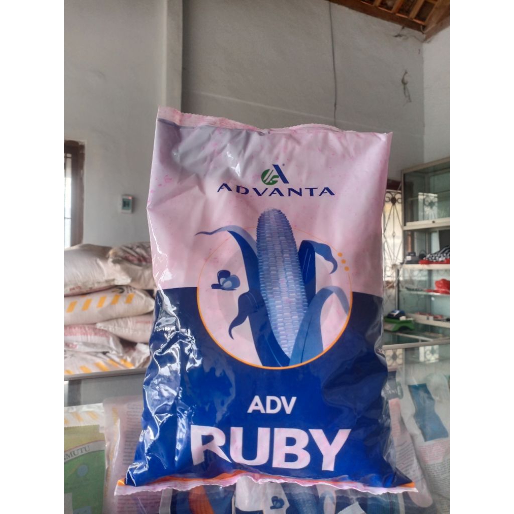 Benih jagung advanta Ruby 1kg
