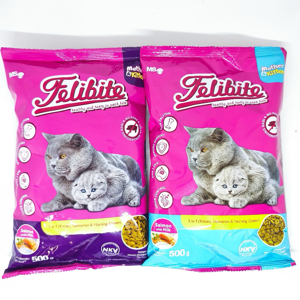 Felibite Mother Kitten