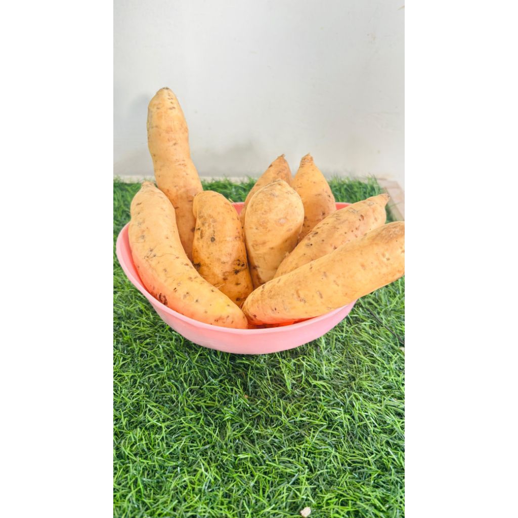 Ubi bakar cilembu