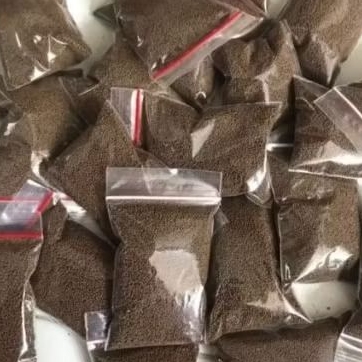 Pelet pf500 Pakan Ikan Cupang Molly Guppy