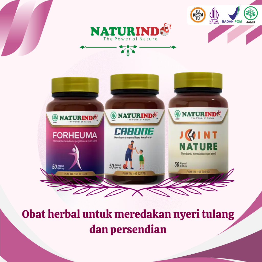 Naturindo Fit Obat Herbal Rheumatik Nyeri Tulang Persendian paling ampuh