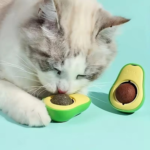 CATNIP KUCING PEMBERSIH GIGI KUCING CATNIP BALL CATNIP AVOCADO CATNIP ALPUKAT