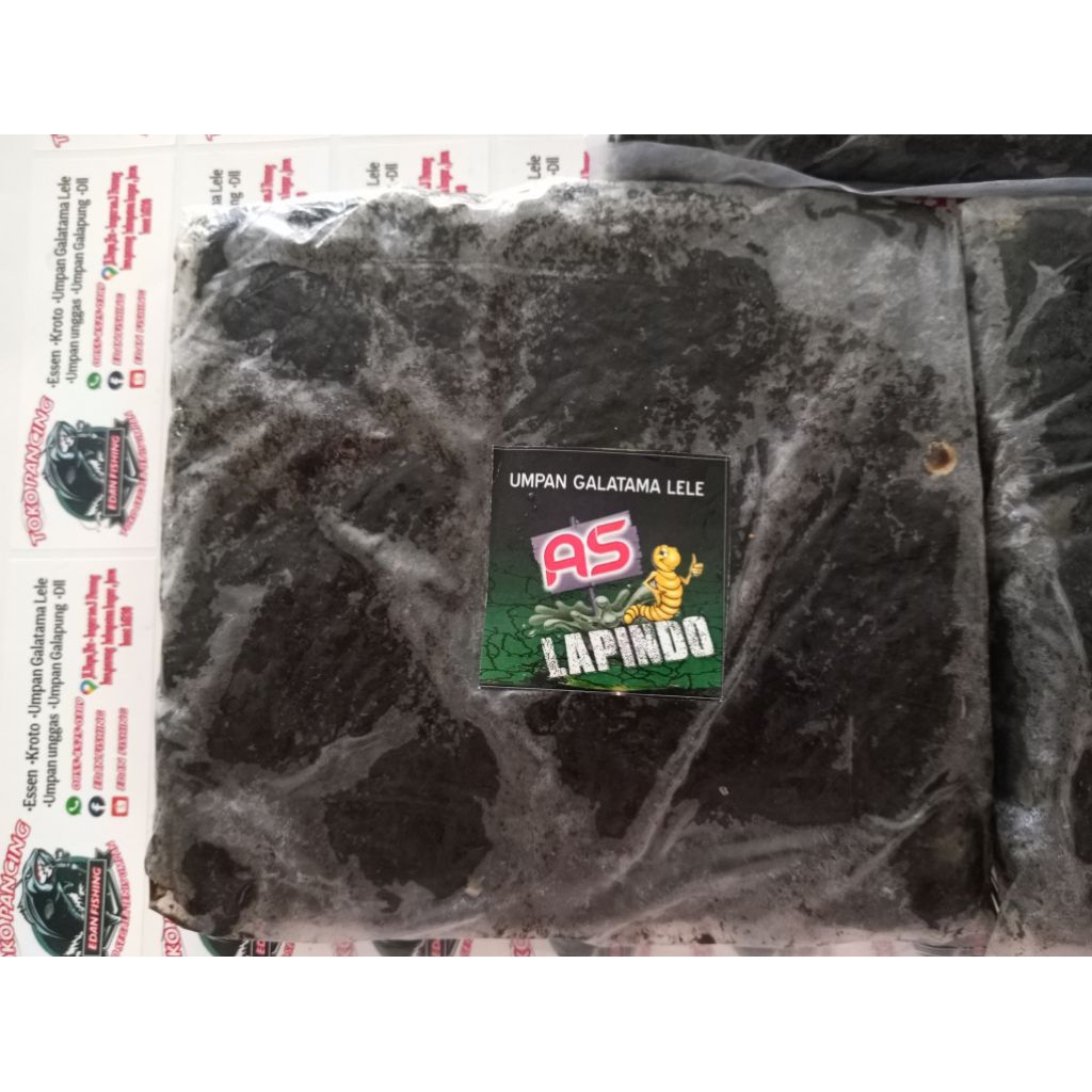 umpan olahan Lapindo AS Galatama lele edan Fishing