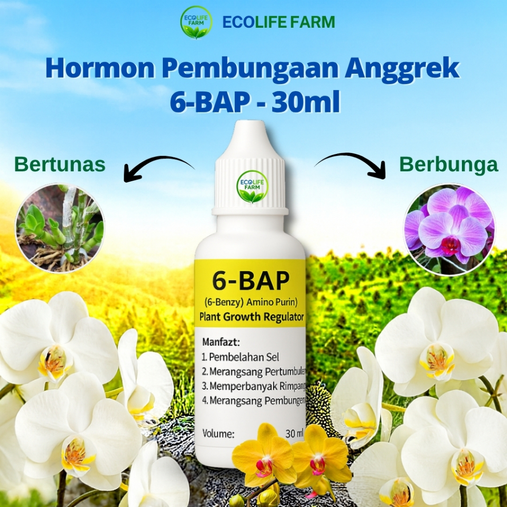 Hormon Pembungaan Anggrek 6-BAP – ZPT Perangsang Bunga & Tunas Anggrek 30ml