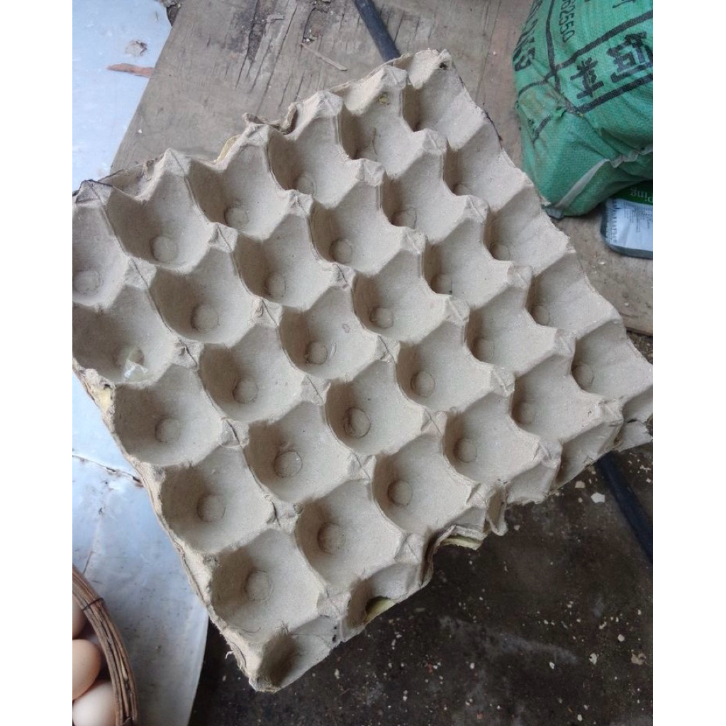 Egg Tray Karton