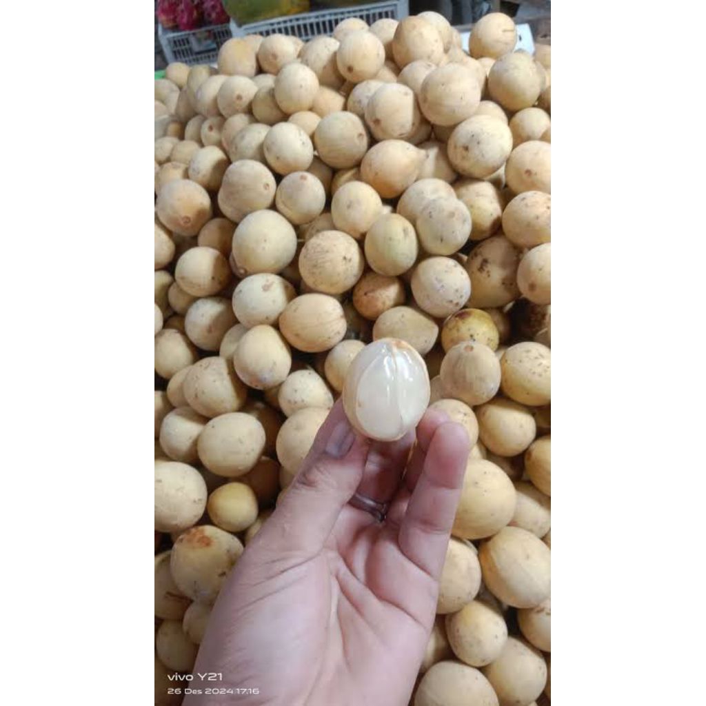Buah Langsat/ Buah duku pontianak manis 500gram