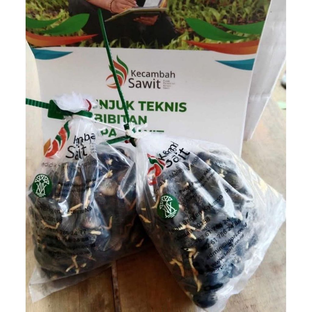 bibit sawit unggul PPKS 540 isi (250 butir)