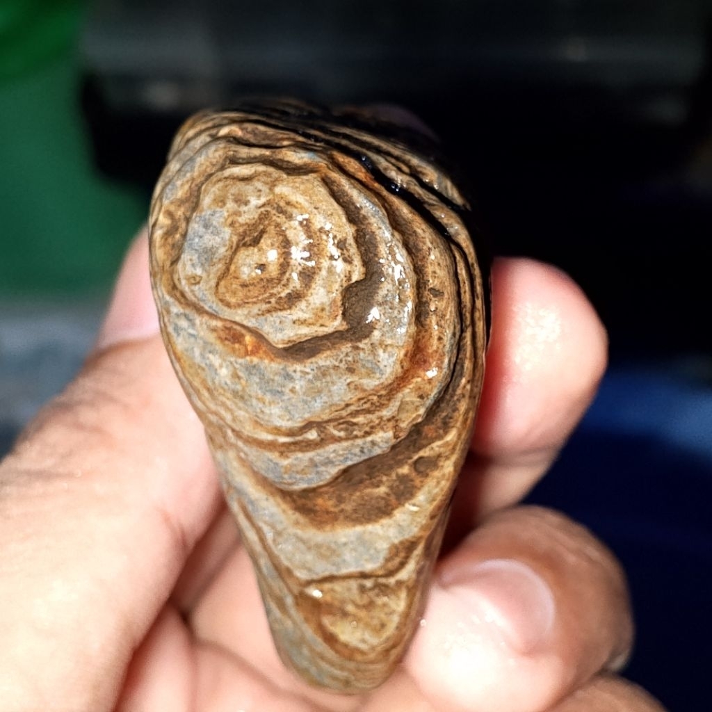 bahan puser bumi sakral natural asli alam