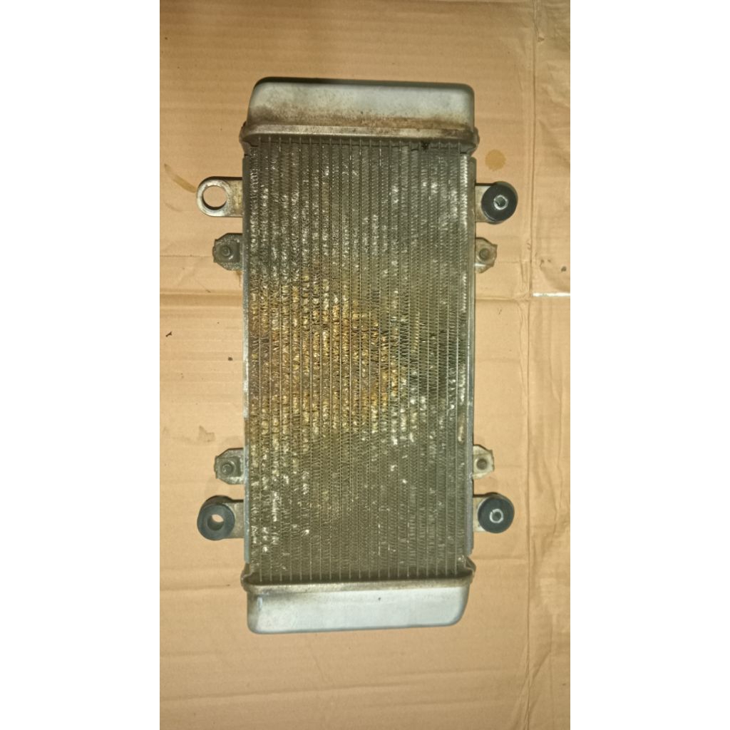 Radiator Kawasaki Ninja 250 FI Original Copotan