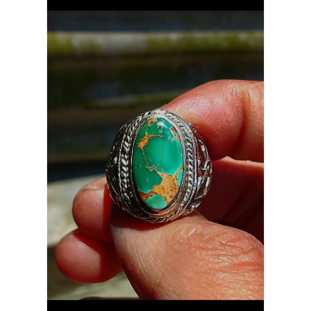 pirus persia ijo kedondong