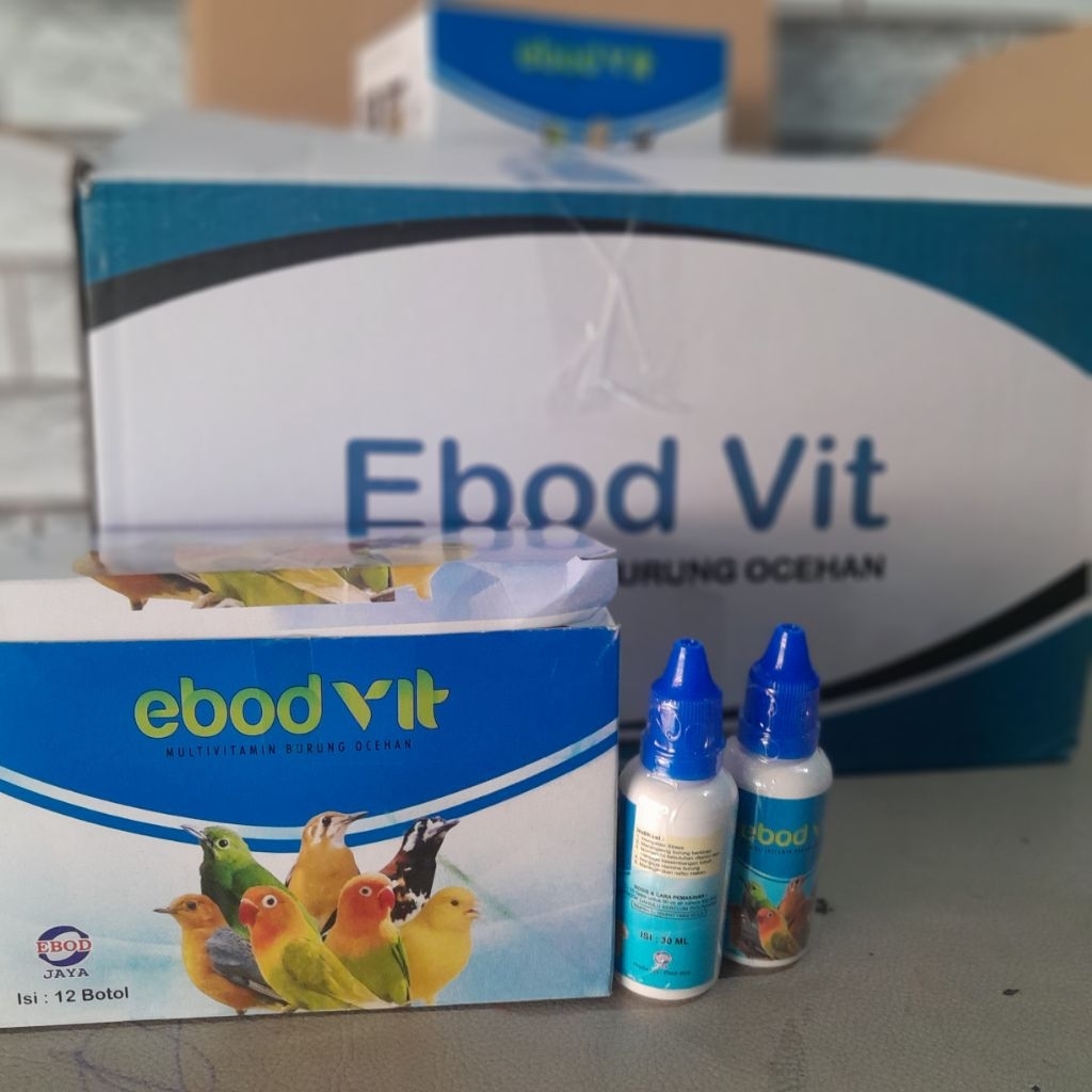 ebod vit (1pcs)obat vitamin burung menambah nafsu makan rajin bunyi ebod jaya original