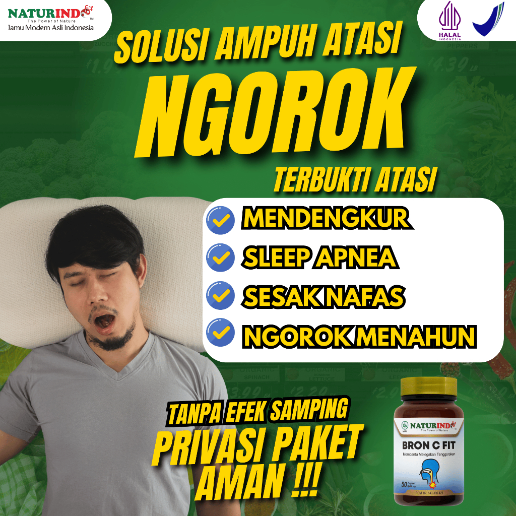 Obat Ngorok Mendengkur Herbal Sleep Apnea Naturindo