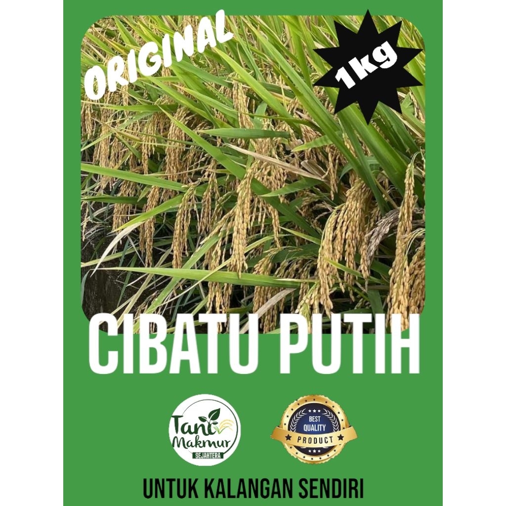 Benih padi cibatu putih original kemasan 1kg