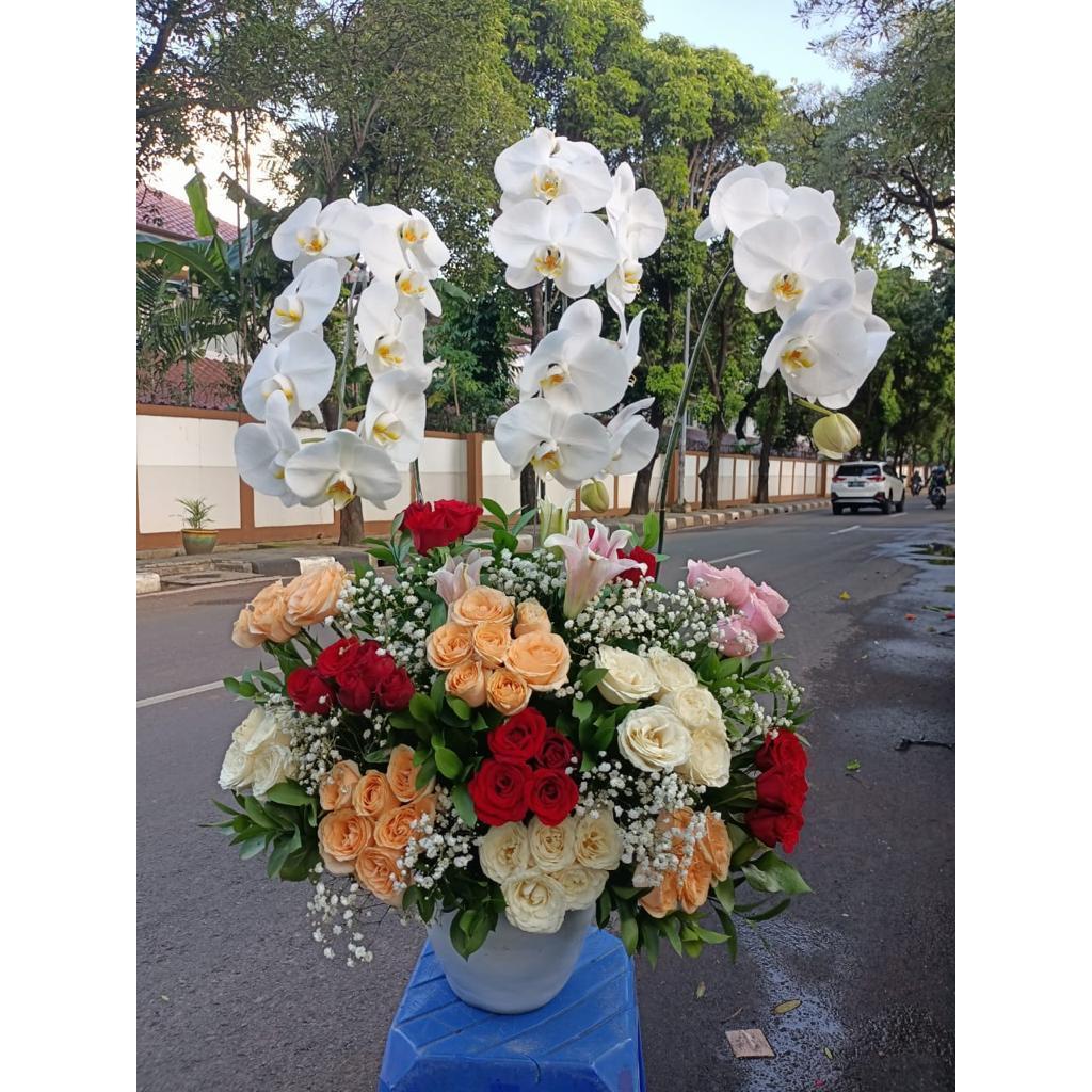 Anggrek bulan rangakain anggrek bunga meja Anggrek Bulan Bunga orchid Rangkaian Bunga Meja Anggrek B