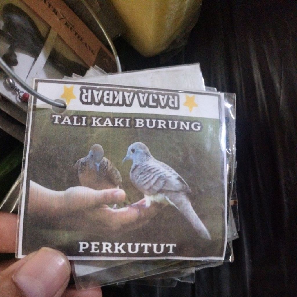 TALI BURUNG PERKUTUT