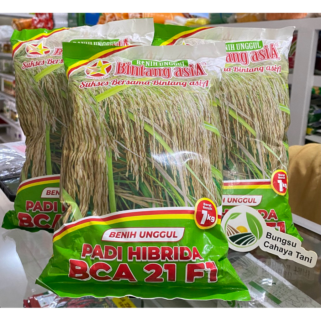 Benih Padi Hibrida BCA 21 F1 1kg Bintang Asia