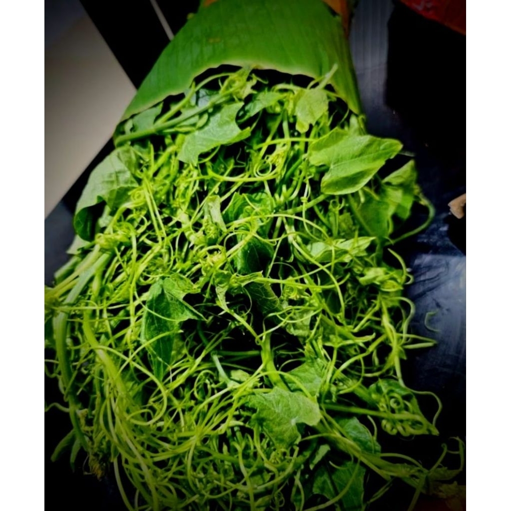 pucuk labu siam segar 250gram