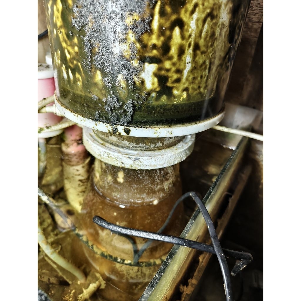 Aquarium Laut reef tank lampu reef skimmer noopsyche live rock