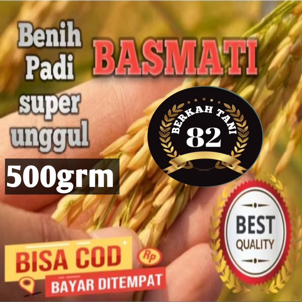 (500grm)BENIH PADI BASMATI BAROMA BENIH PADI BERKUALITAS UNGGUL