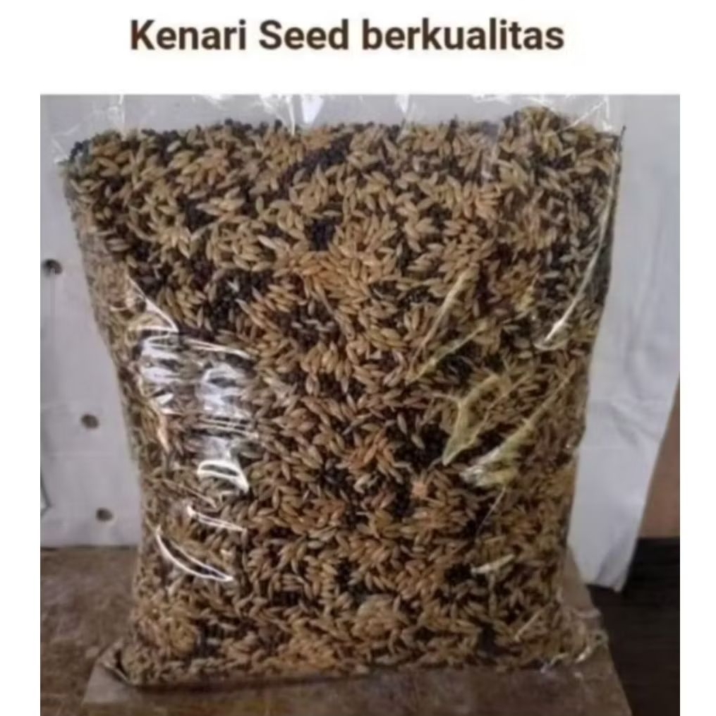 PAKAN KENARI SEED CAMPUR