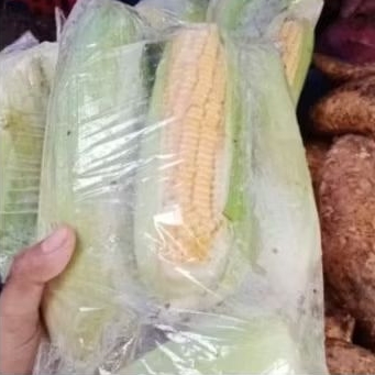 Jagung Manis 1Kg