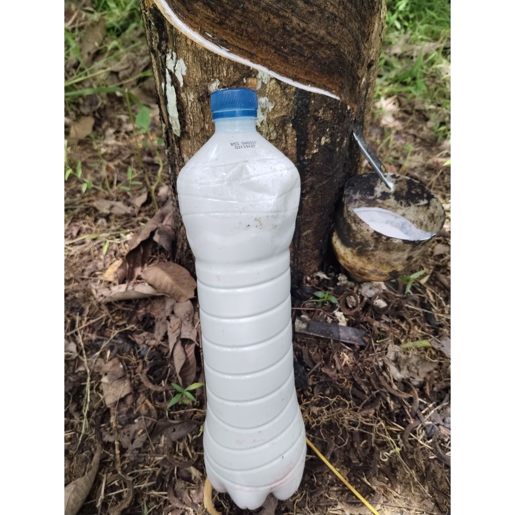 lem getah karet cair,lem pulut burung,lem perekat kasur busa isi 600mil