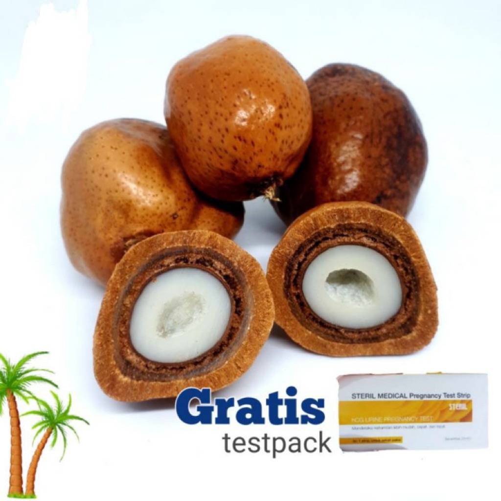 Buah Zuriat/Buah Zuriat Madinah 500gr / Buah Zuriat Promil / Buah Zuriat Kembar Program hamil