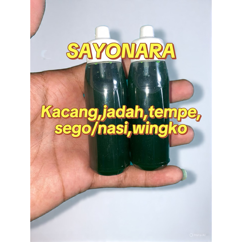 ESSEN OPLOSAN IKAN BAWAL GACOR