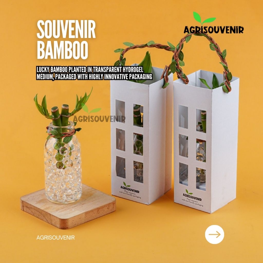 Agrisouvenir - Paket souvenir bambu hoki dan hidrogel / wedding souvenir / birthday souvenir / corpo