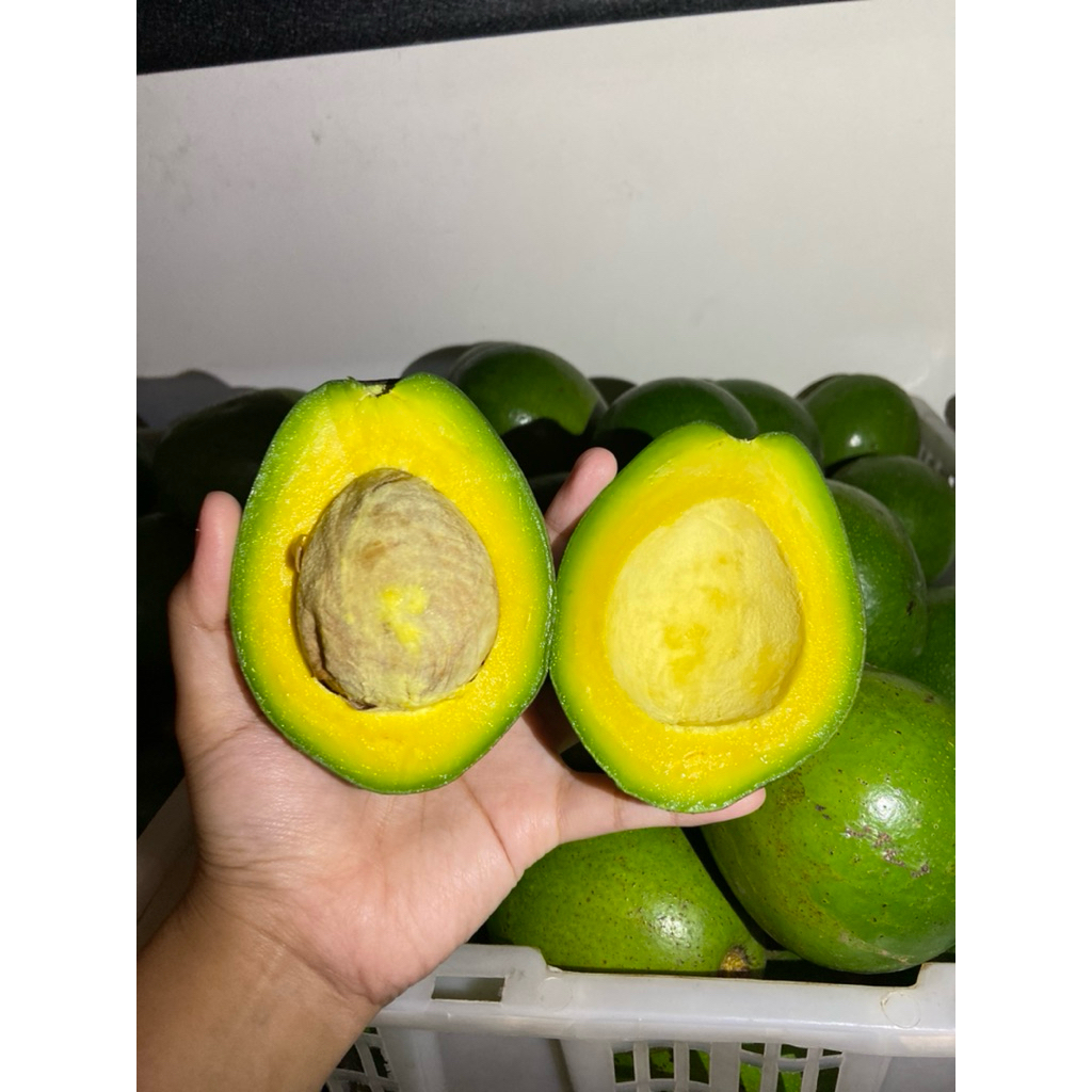 Alpukat Mentega Miki