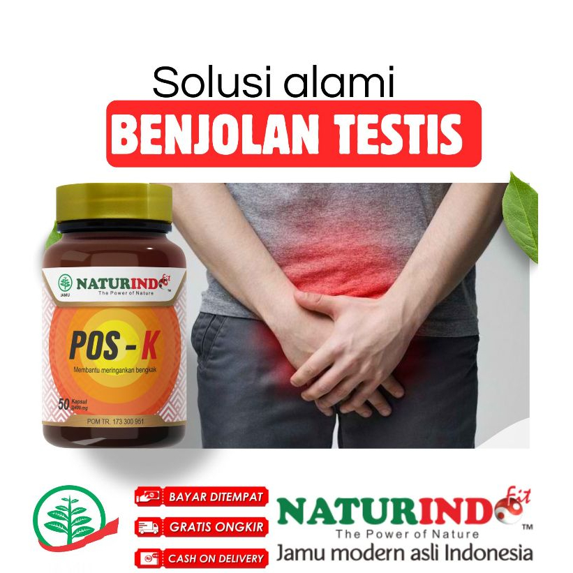 Obat Herbal varikokel benjolan testis Tiroid Gondok Hipertiroid Hipotiroid || Naturindo Obat Kelenja