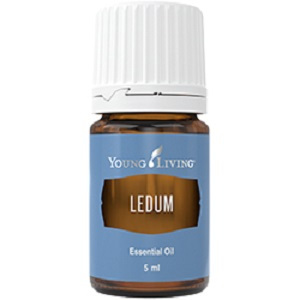Essential Oil Ledum 5 ml