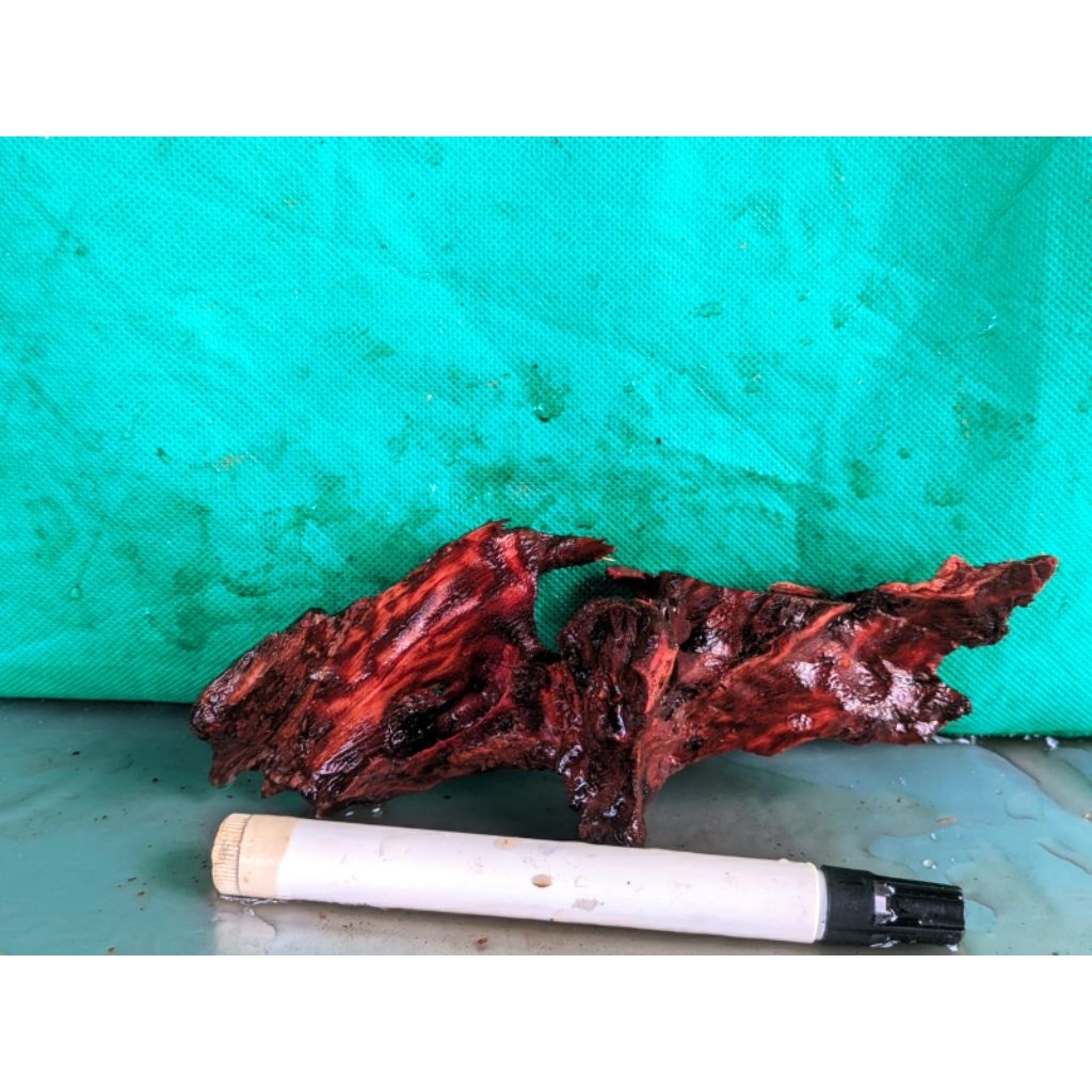 Kayu rentek mini tenggelam