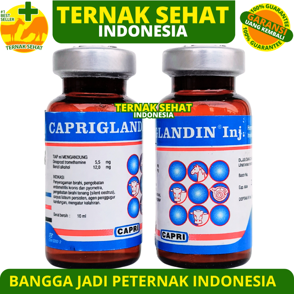 CAPRIGLANDIN INJ 10 ml - Hormon Sinkronisasi Estrus Sapi Kambing Domba Kuda Babi
