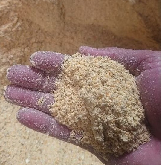 dedak jagung pakan AYAM (HANYA UNTUK PAKAN UNGGAS)