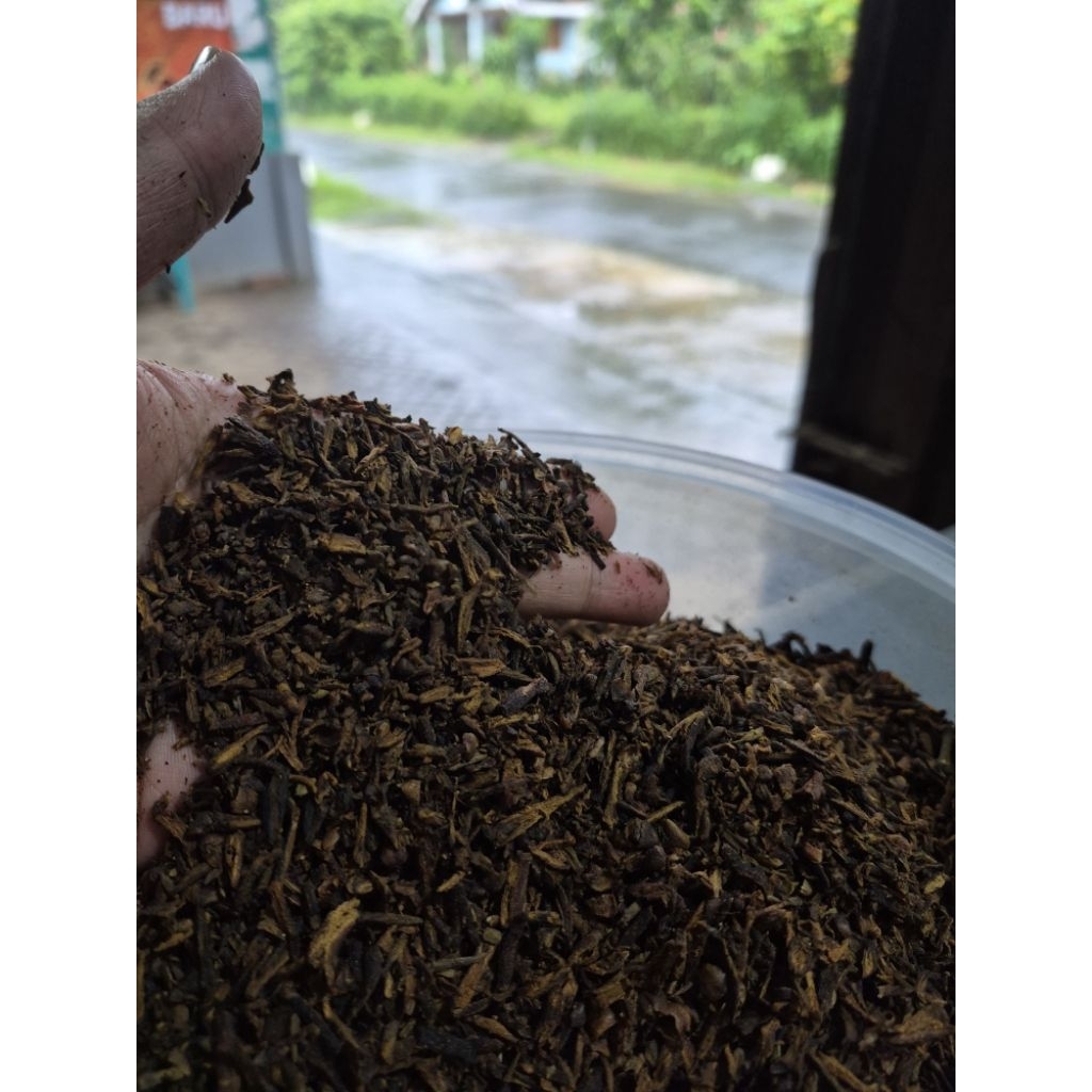 CENGKEH REMPAH RAJANG KASAR AROMA SEDAP RASA NIKMAT 1 KG