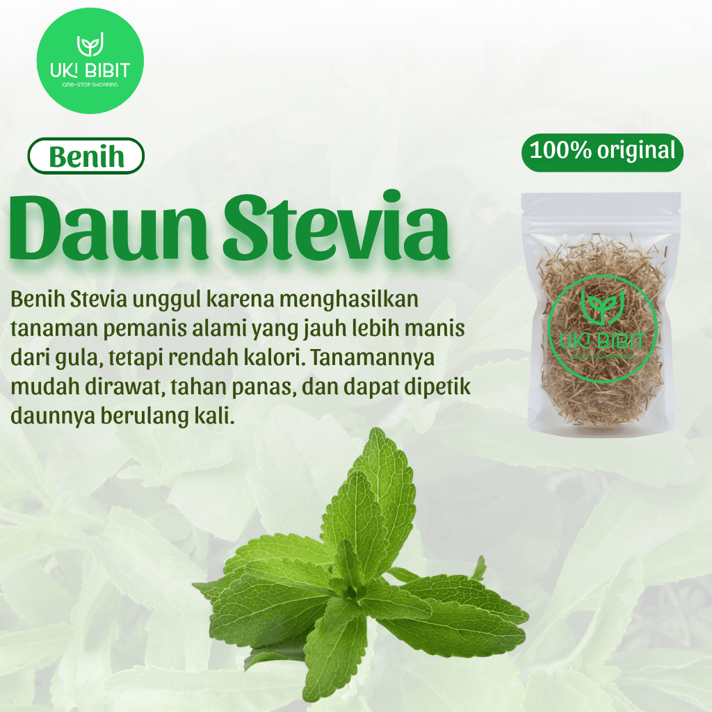 Benih Daun Stevia 100 Butir Pemanis Alami