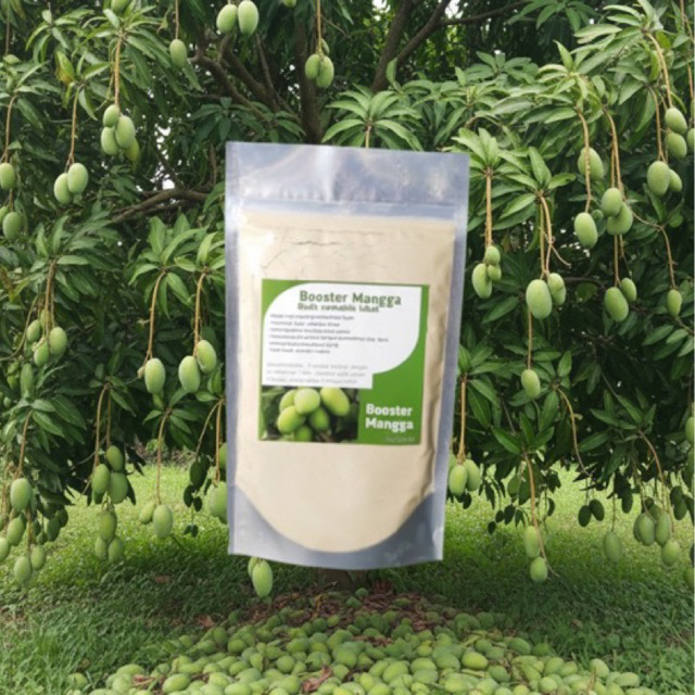 booster mangga, perangsang buah mangga pelebat buah, pupuk buah