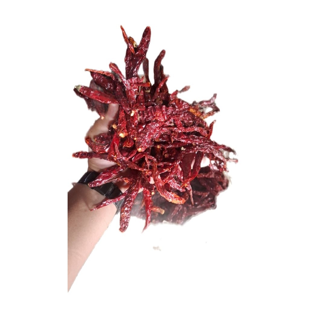 Cabe Merah Keriting KERING