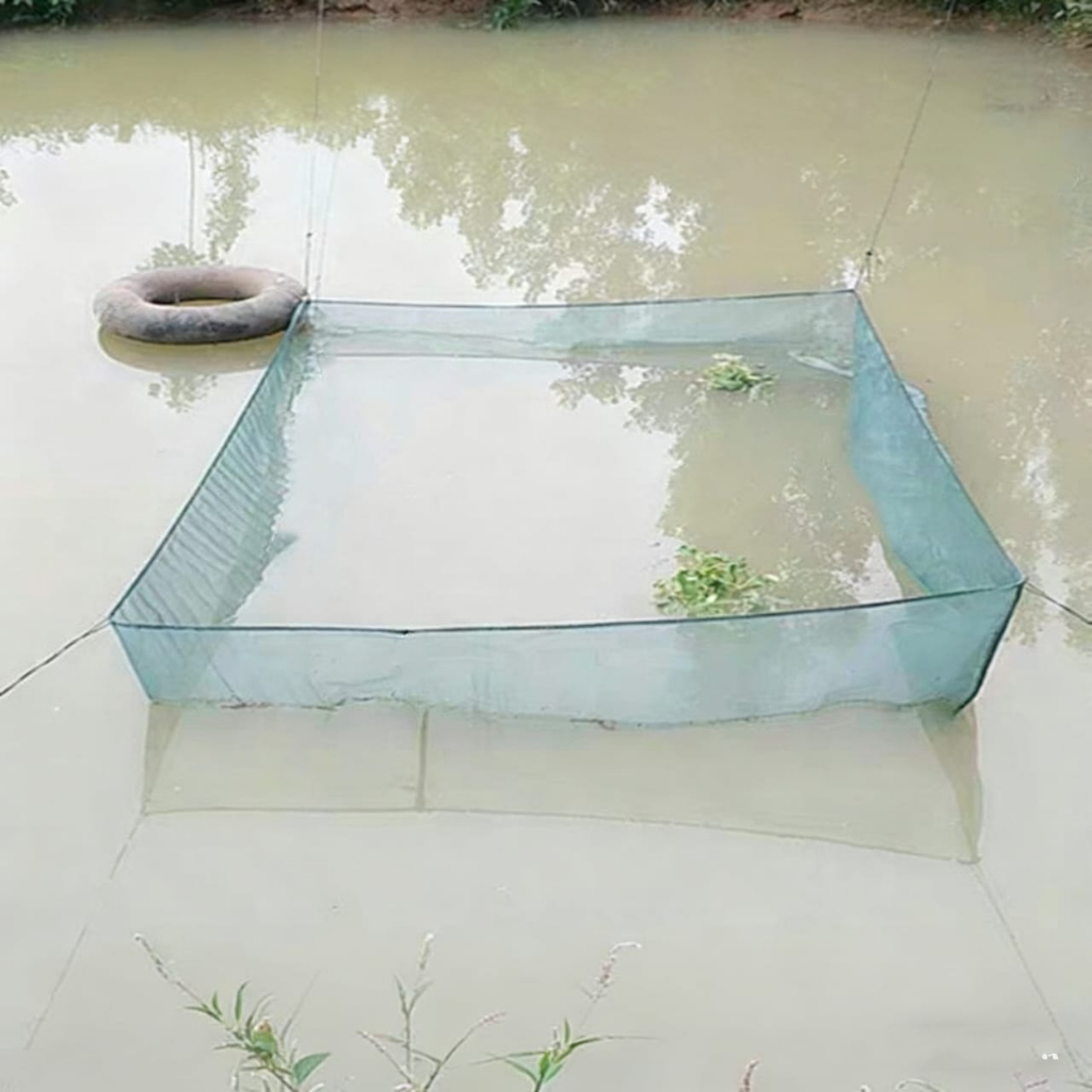 Keramba Ikan jaring ikan hapa ikan siap pakai