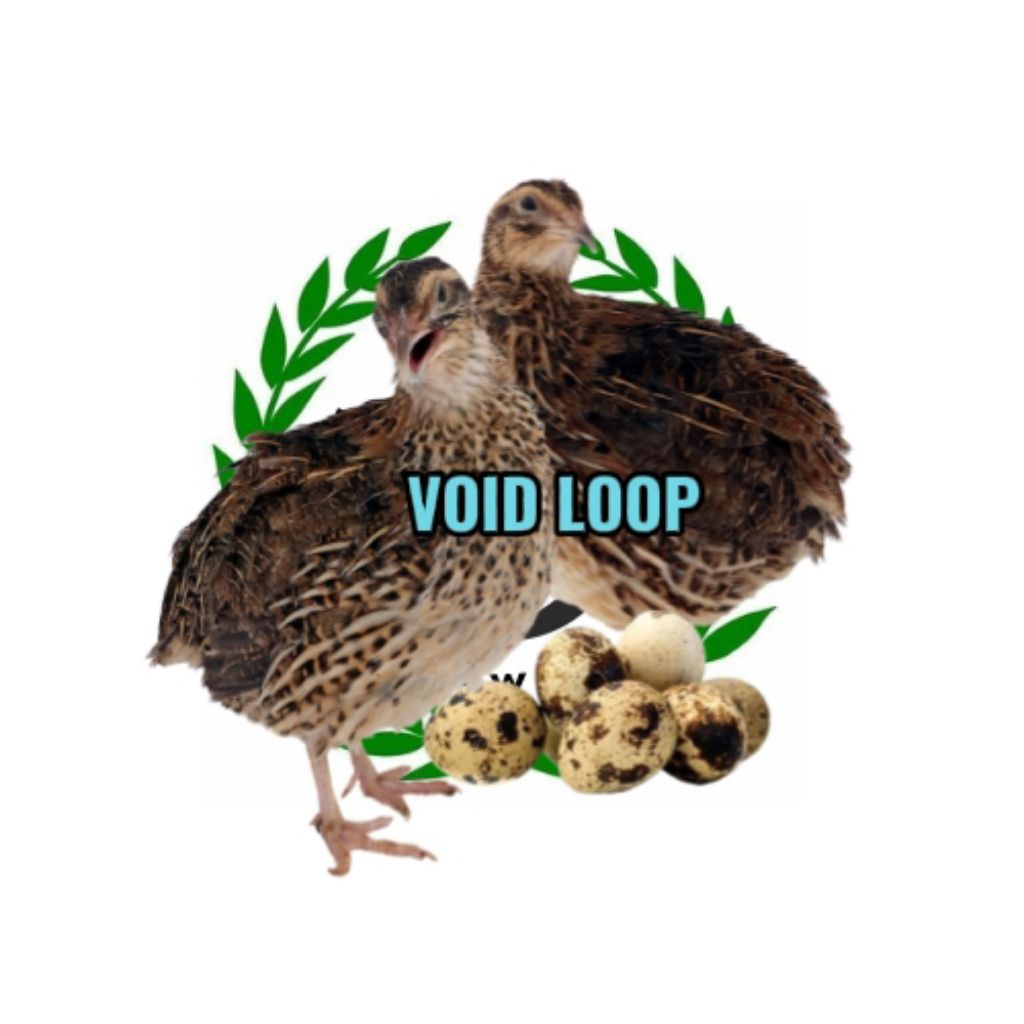 Telur Puyuh Fertil Gps Hitam Untuk buat Indukan sendiri