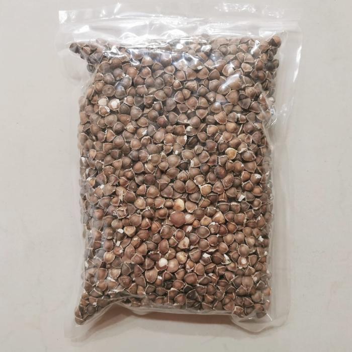 Bibit Biji Kelor 1kg Termurah | Moringa Seed La Muce / Lamuce / La Mu Tze | Kelor Botak Super
