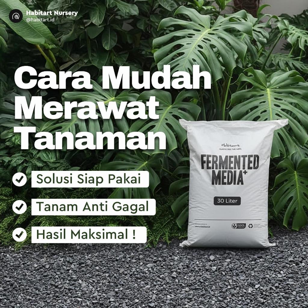 Habitart Fermented Media Plus 30L - Media Tanam Fermentasi Aroid Siap Pakai | Metan Steril Porous Mo