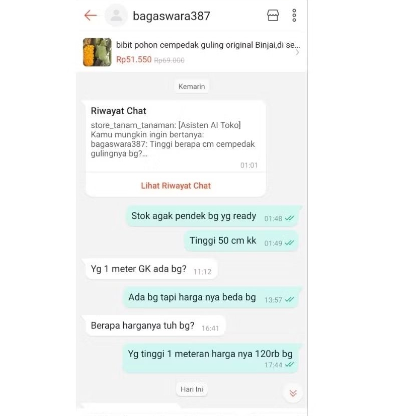 produk reques bg Bagaswara,pohon cempedak guling yg tinggi 1 meteran